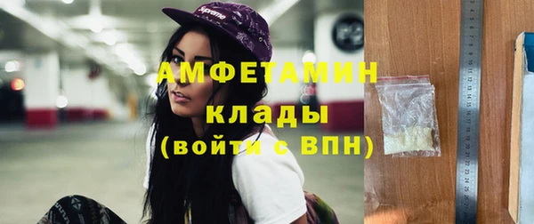 гидра Алексеевка