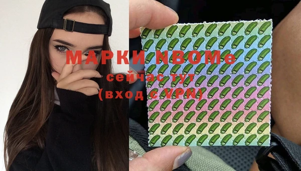 шишки Алексин