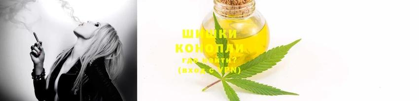шишки Алексин