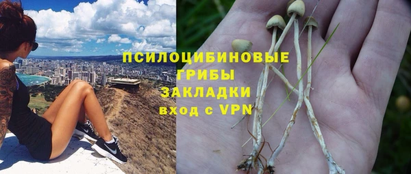 гидра Алексеевка