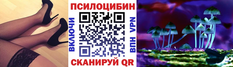 продажа наркотиков Кимры Псилоцибиновые грибы Psilocybine cubensis