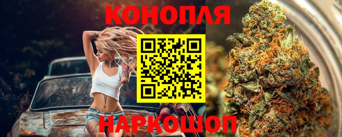 Шишки марихуана план  Вход с VPN  Кимры  Марихуана марихуана 